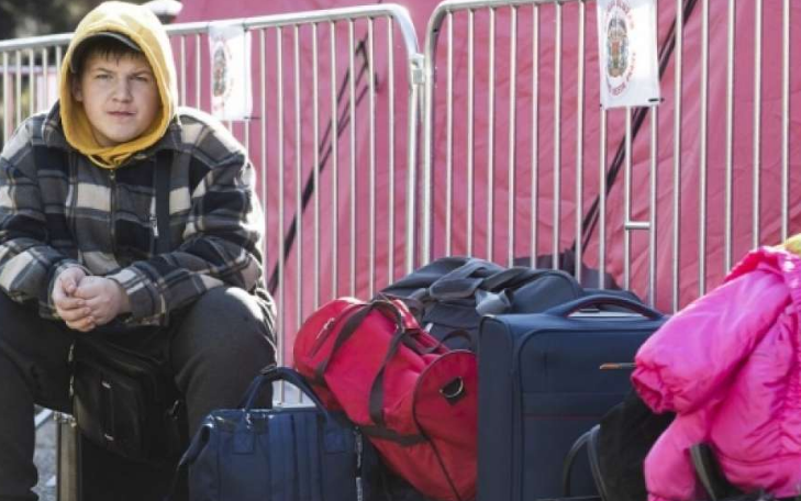 Gotovo polovina izbjeglica iz Ukrajine izjasnili se da žele ostati u Njemačkoj