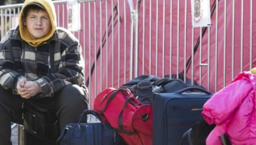 Gotovo polovina izbjeglica iz Ukrajine izjasnili se da žele ostati u Njemačkoj