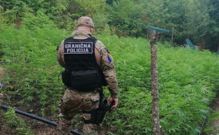 GP BiH u prvoj polovini godine zabilježila 83 krivična djela u vezi sa drogom