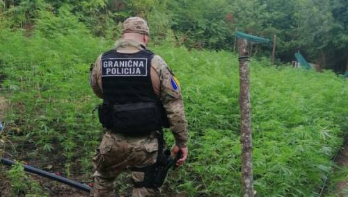 GP BiH u prvoj polovini godine zabilježila 83 krivična djela u vezi sa drogom