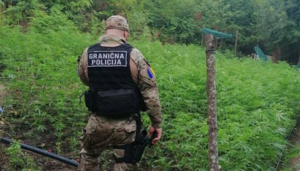 GP BiH u prvoj polovini godine zabilježila 83 krivična djela u vezi sa drogom