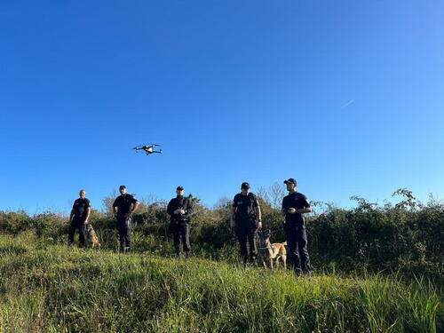 GPBiH spriječila više od 4.200 nezakonitih prelazaka granice