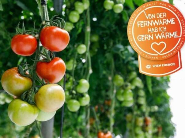 Grad Beč koristi daljinsko grijanje za uzgoj povrća