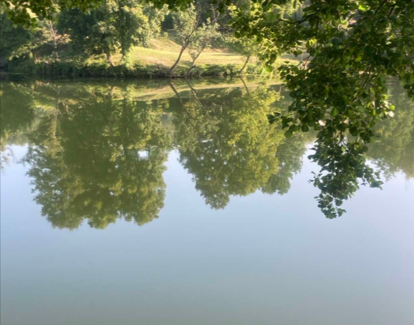 Grad Bihać: Lažni navodi o zamućenoj Uni naštetili turističkoj sezoni