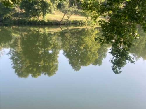 Grad Bihać: Lažni navodi o zamućenoj Uni naštetili turističkoj sezoni