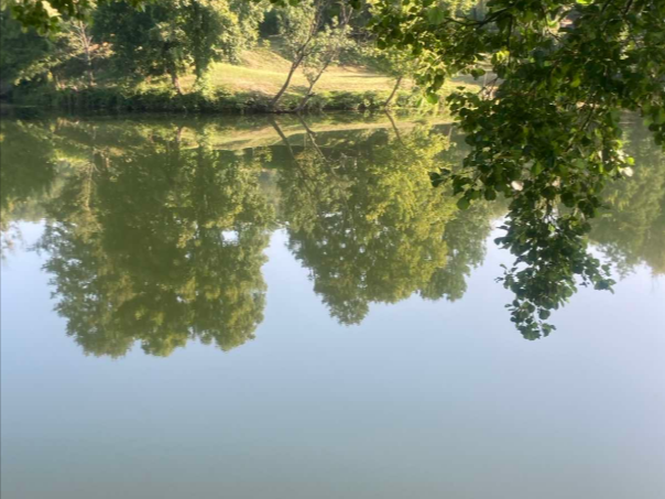 Grad Bihać: Lažni navodi o zamućenoj Uni naštetili turističkoj sezoni