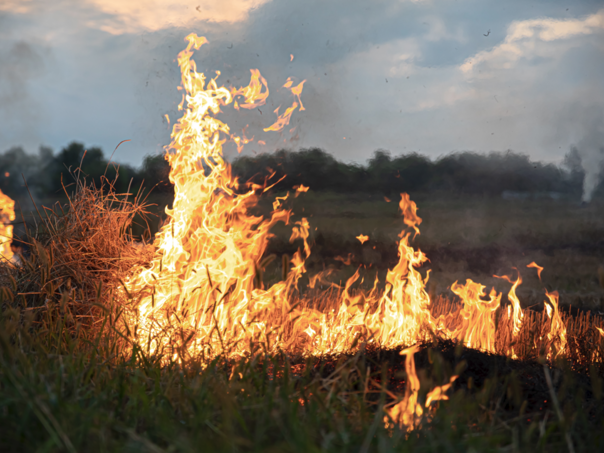 Grad Mostar: Izbjegavajte vatru kao način čišćenja
