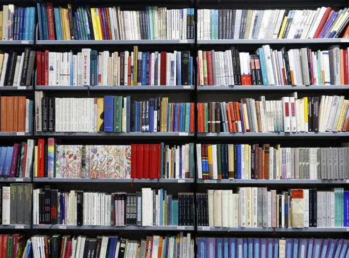 Građani BiH prosječno čitaju deset knjiga godišnje