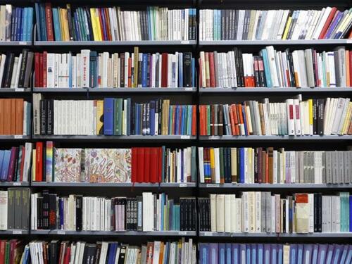 Građani BiH prosječno čitaju deset knjiga godišnje