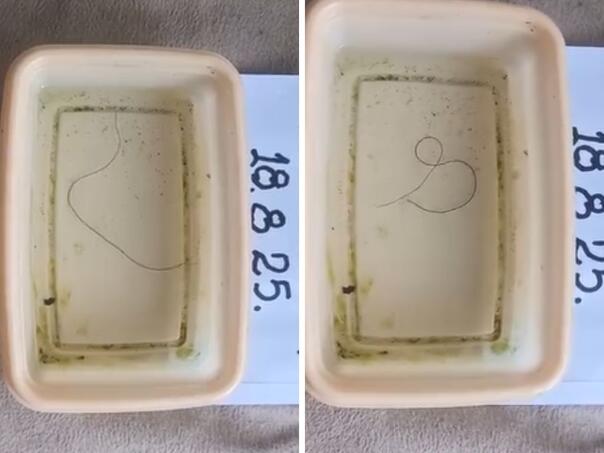 Građani uznemireni: Iz česme u Banjaluci izašao crv "konjska dlaka"