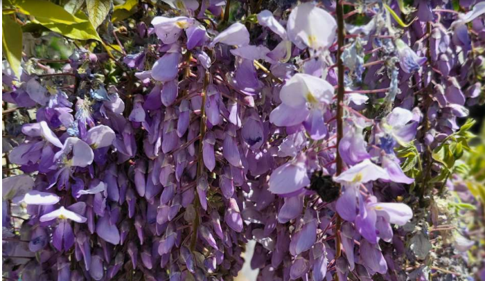 Građanski aktivisti u BiH poručili: Zaustavite uništavanje životne sredine