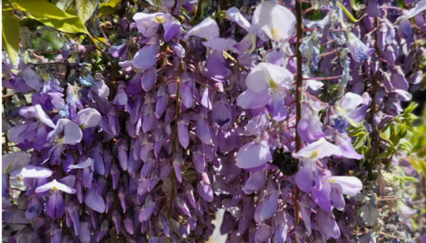 Građanski aktivisti u BiH poručili: Zaustavite uništavanje životne sredine