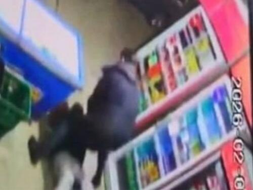 Gradonačelnik Niša ispao heroj: Zaskočio lopova s nožem u rukama