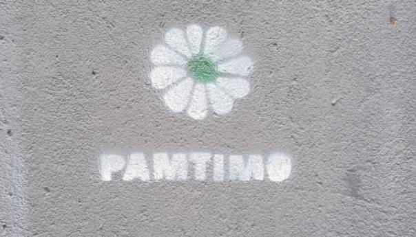 Grafiti cvijeta Srebrenice osvanuli na više lokacija u Beogradu