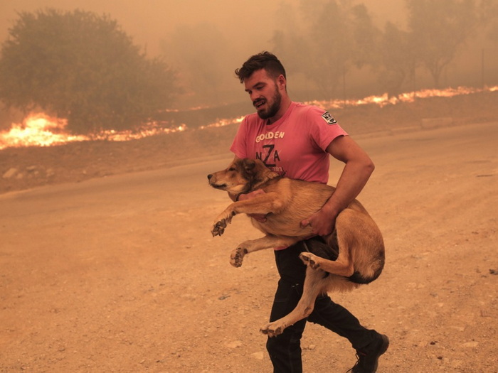 Grčka: Spašavao životinje iz požara, neke nosio u rukama
