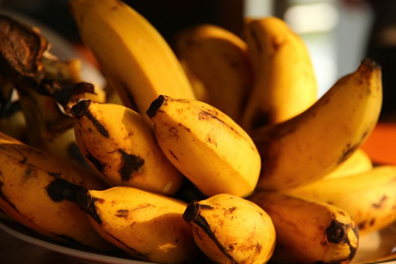 Grčka: U bananama pronađeno 270 kg kokaina