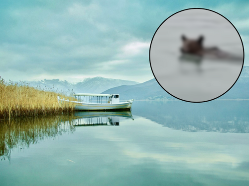 Grčki ribar snimio nevjerovatan prizor na jezeru