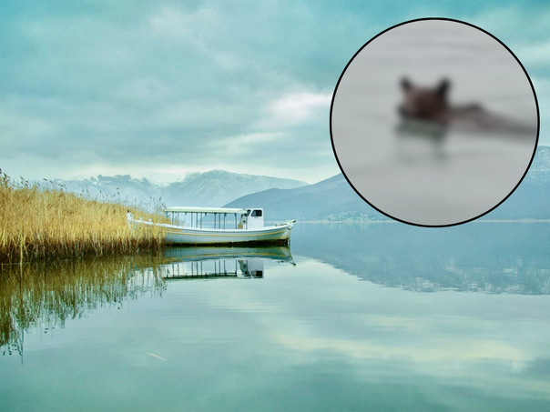 Grčki ribar snimio nevjerovatan prizor na jezeru