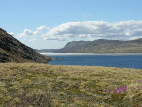 Grenland se zeleni, led se rapidno topi