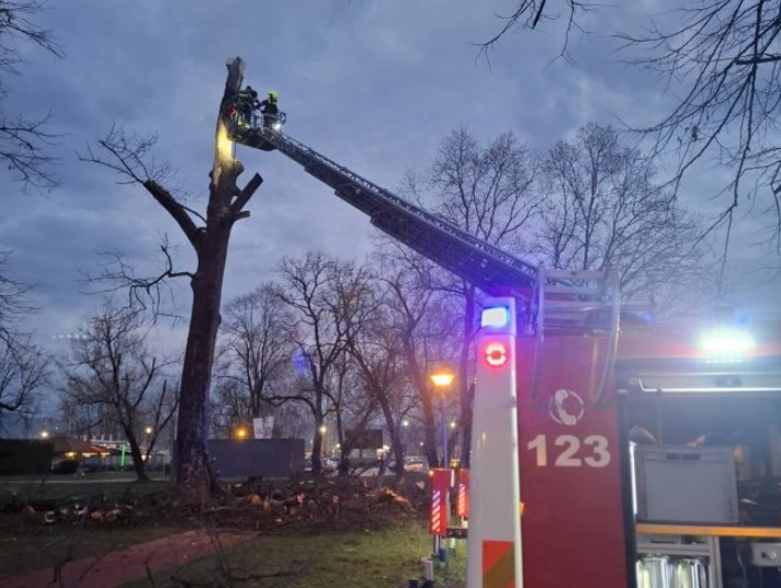Grom udario u drvo u banjalučkom parku, intervenisali vatrogasci
