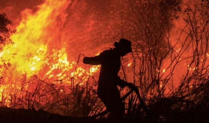 Halifax na istoku Kanade proglasio vanredno stanje zbog šumskih požara
