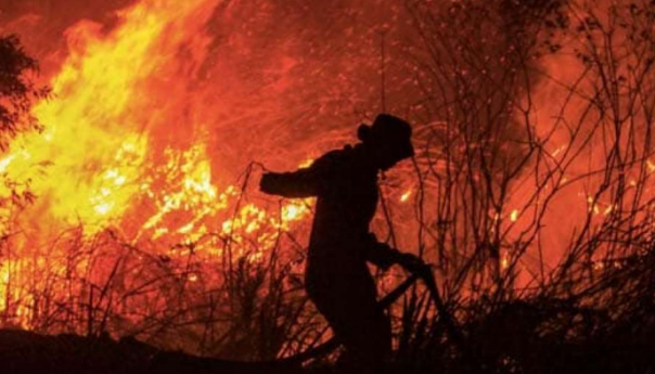 Halifax na istoku Kanade proglasio vanredno stanje zbog šumskih požara
