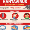 Hantavirus - Šta treba znati i kako se zaštititi?