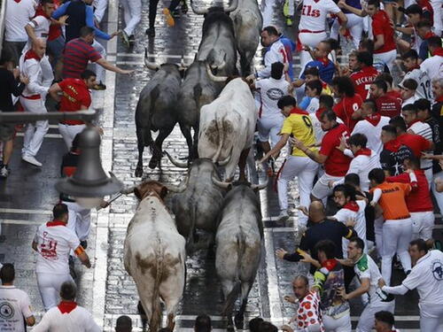 Haos na utrci sa bikovima: Povrijeđeno petero ljudi na festivalu San Fermin