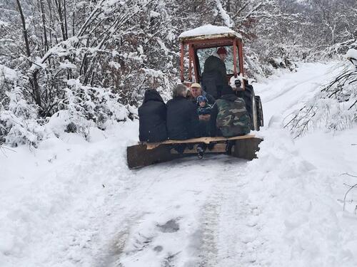 Haos u Foči: Snijeg obarao stabla na putevima
