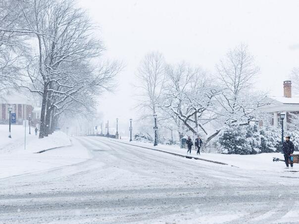Haos u Virginiji: Stotine udesa zbog snijega i leda, desetine hiljada ljudi bez struje