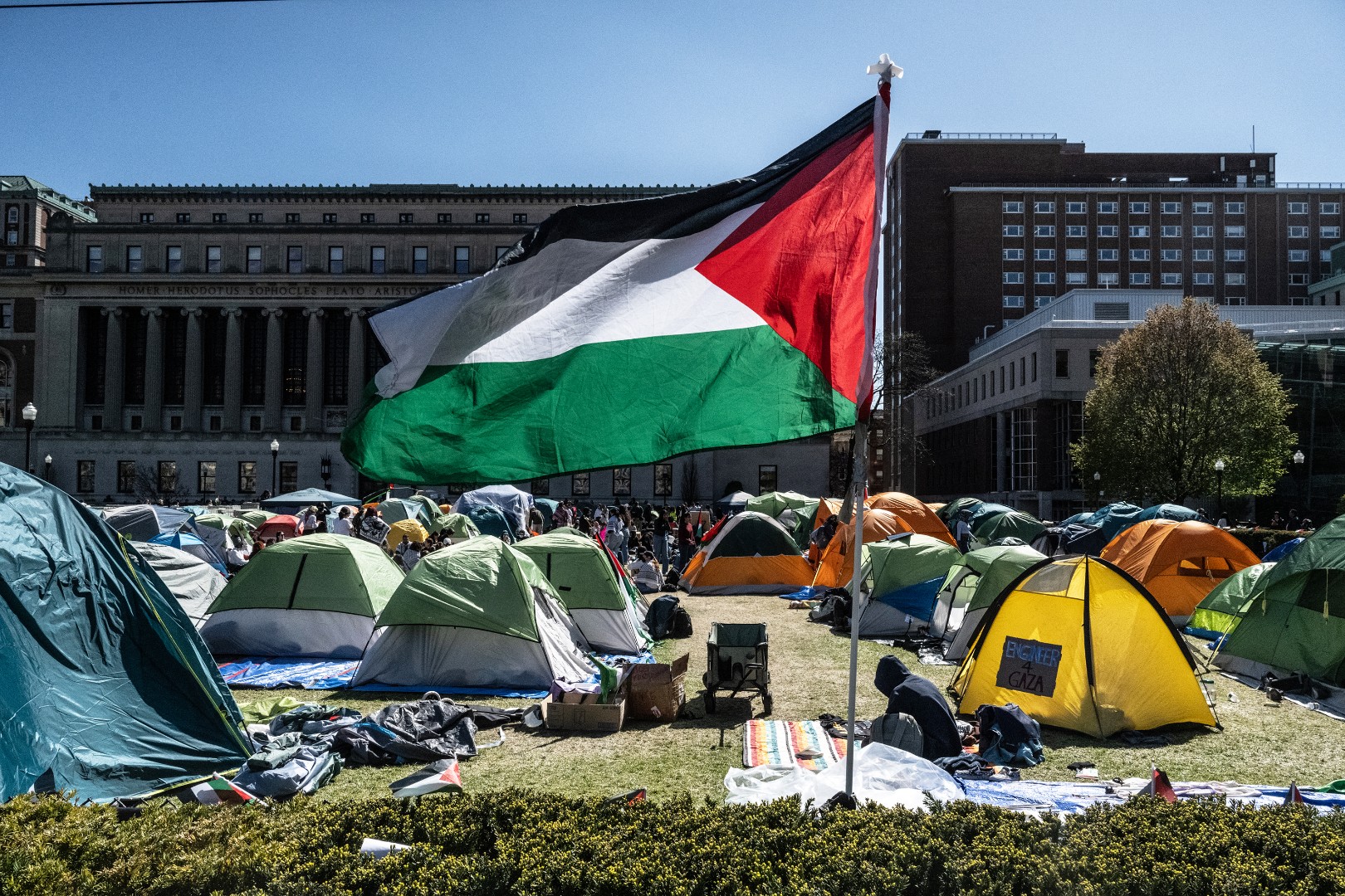 Hapšenja profesora i studenata u Americi zbog propalestinskih protesta