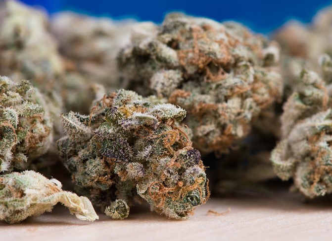 Hapšenje u Doboju: Oduzeti marihuana i spid