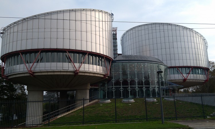 Harisa Bačvić, Jelena Cvijetić i Monika Mijić v.d. agenti pred Sudom u Strasbourgu