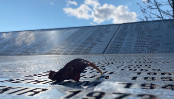 Hariz Halilović u potrazi za školskim drugovima u Potočarima: Đački sastanak!