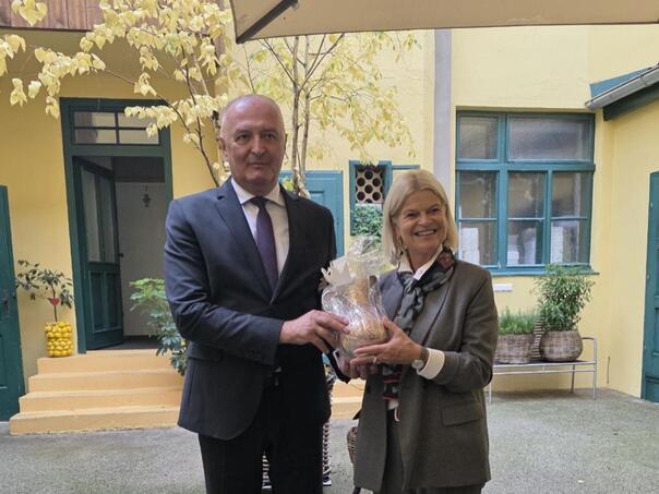 Helez u Austriji o OS BiH, EUFOR-u...