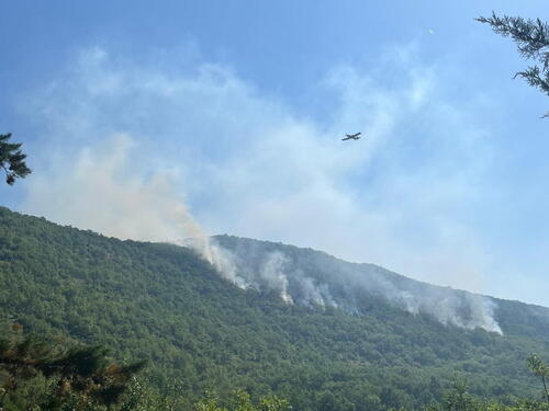 Helikopter OS BiH i Air Tractor od ranog jutra gase požar u Grudama