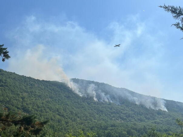 Helikopter OS BiH i Air Tractor od ranog jutra gase požar u Grudama