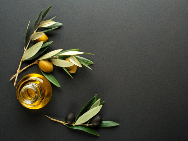 Hercegovina danas stoji uz bok najboljim svjetskim maslinarskim regijama