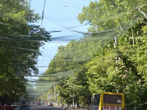 Herson, grad na liniji fronta: Život pod zemljom i mrežama protiv dronova