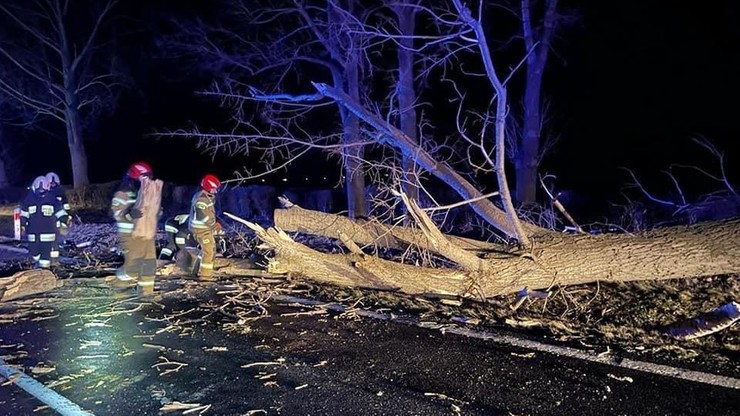 Hiljade domaćinstava u Poljskoj i Češkoj bez struje zbog nevremena