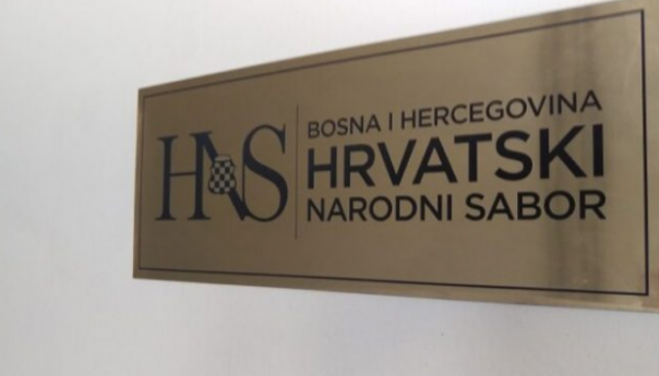 HNS: Izborni zakon ključan za kandidatski status BiH