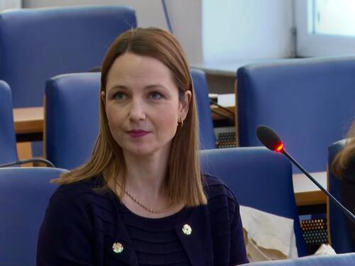 Hoće li KS dobiti e-portal: Sve usluge građanima na jednom mjestu