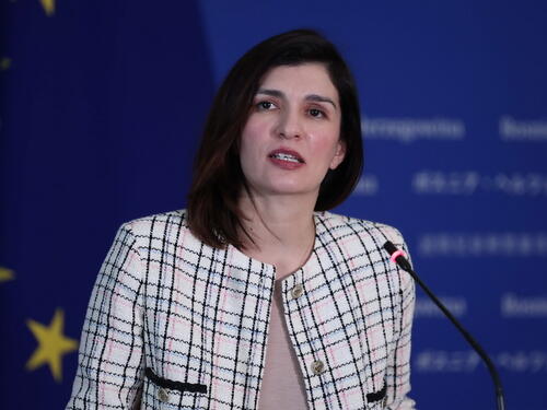 Hoće li Sabina Ćudić biti prva predsjednica Naše stranke?