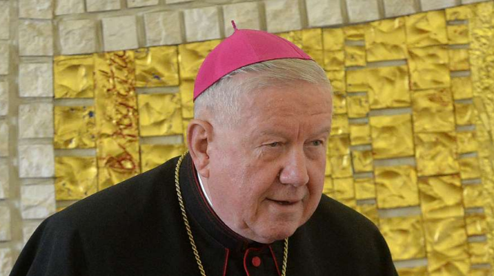 Hočevar: Posjet pape Franje Srbiji je uvijek realan