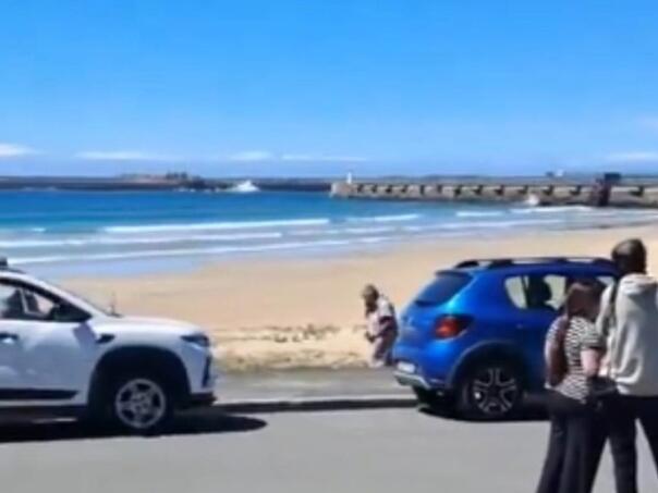 Horor na plaži: Morski pas usmrtio ženu pred drugim kupačima