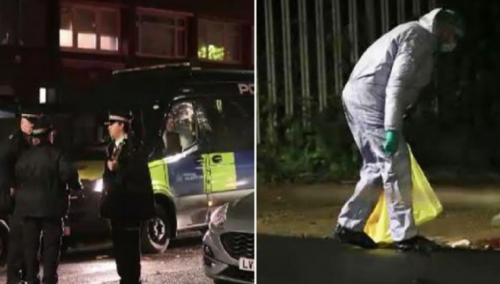 Horor u Londonu: Na dvije lokacije pronađena dva mrtva tinejdžera