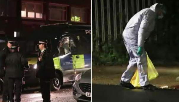 Horor u Londonu: Na dvije lokacije pronađena dva mrtva tinejdžera