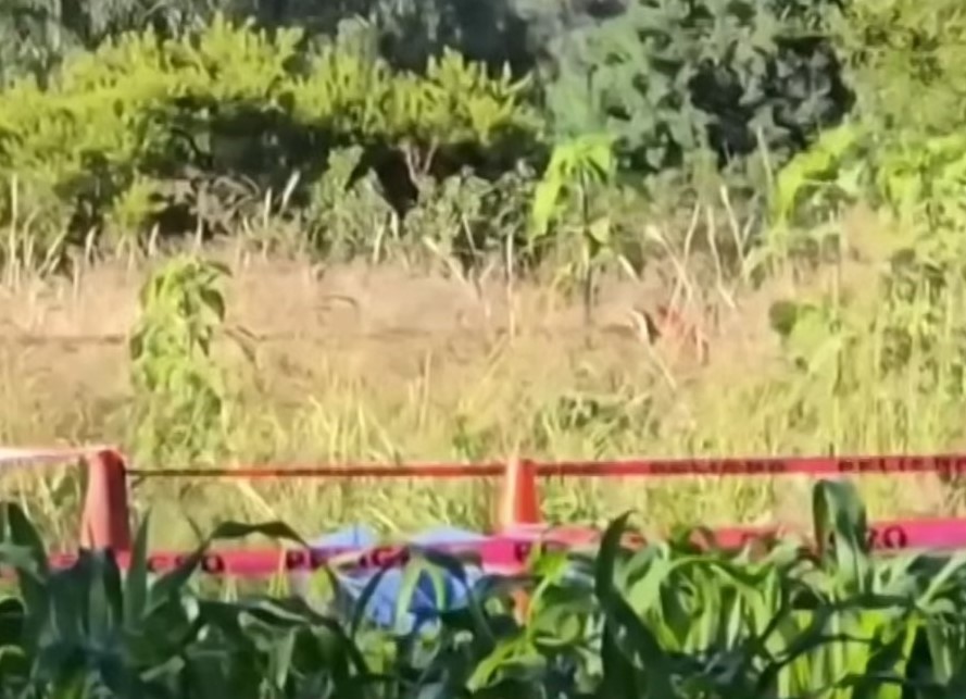 Horor u Meksiku: Pored ceste pronađeno šest obrubljenih glava