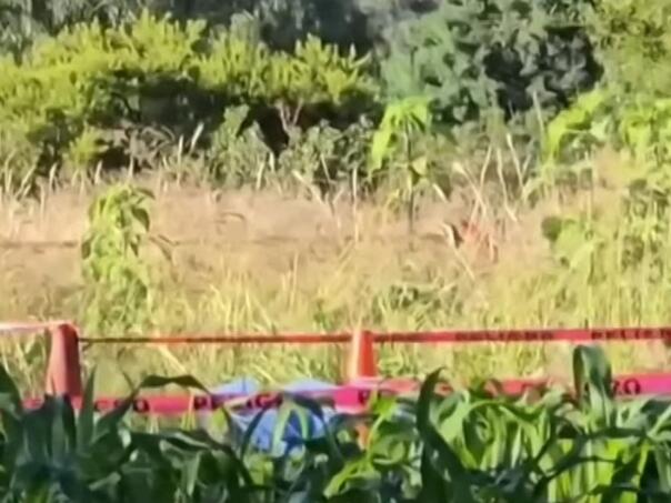 Horor u Meksiku: Pored ceste pronađeno šest odrubljenih glava