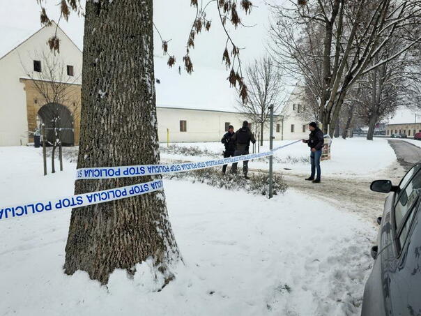 Horor u Sloveniji: Učenik prvog srednje nožem izbo učenicu četvrtog razreda u lice i leđa